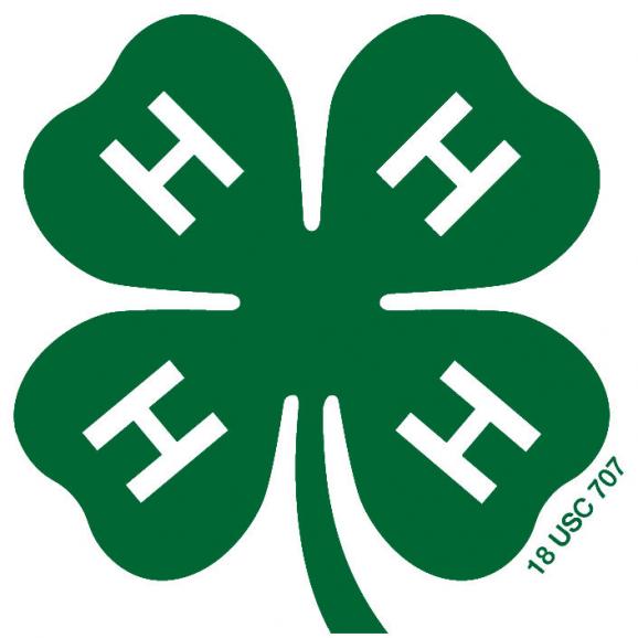 4H Club Logo photo - 1