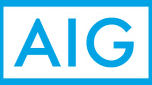 AIG National Union Logo photo - 1
