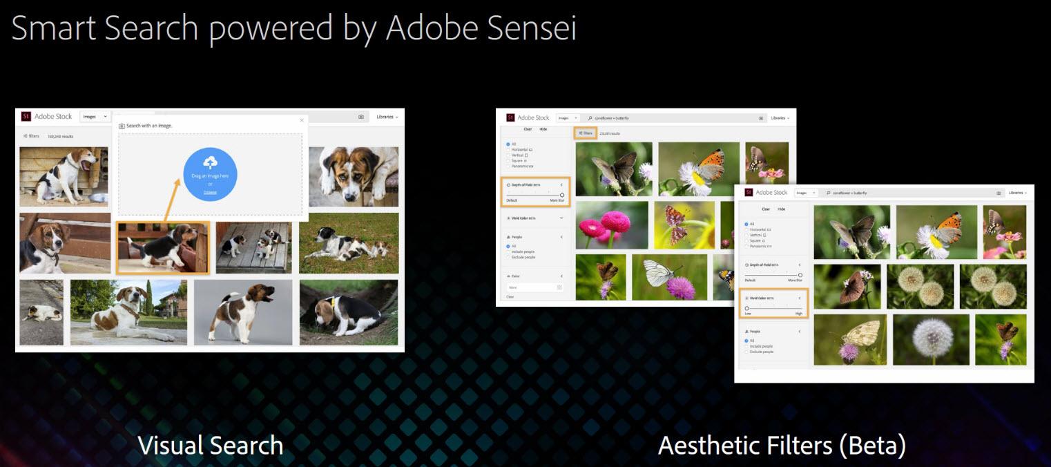 Adobe Dynamic Media Collection Logo photo - 1