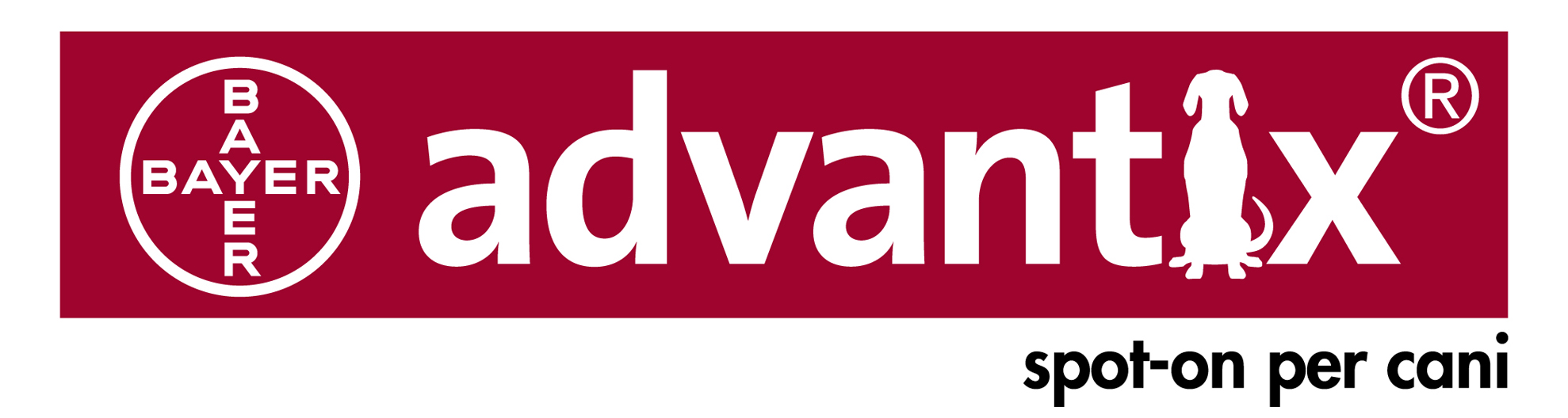 Advantax Logo photo - 1