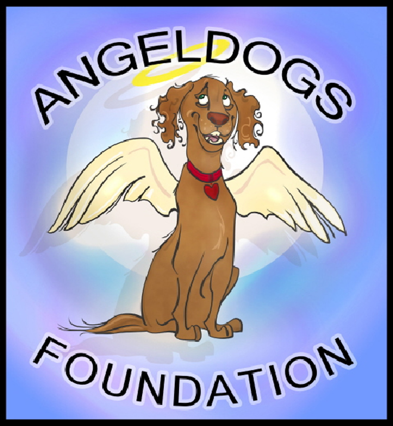 Anel Doga Logo photo - 1