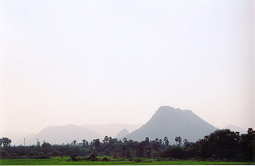 Araku Valley Logo photo - 1