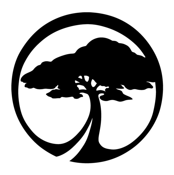 Arbor Logo photo - 1