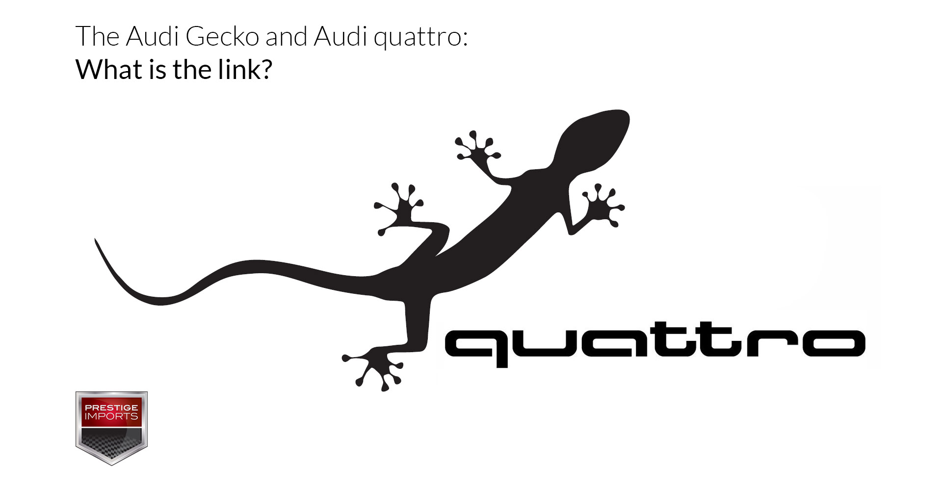 Audi Quattro Gecko Logo photo - 1