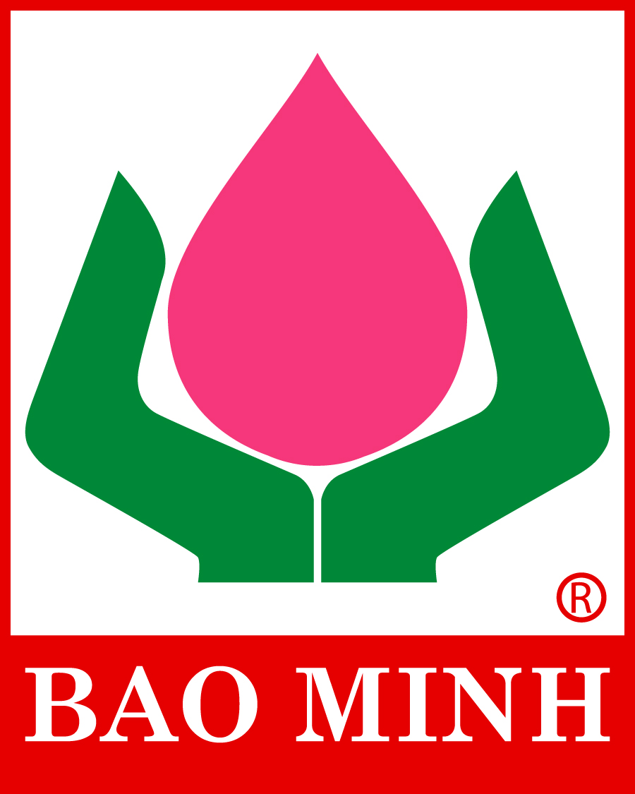 BAO MINH LOGO photo - 1
