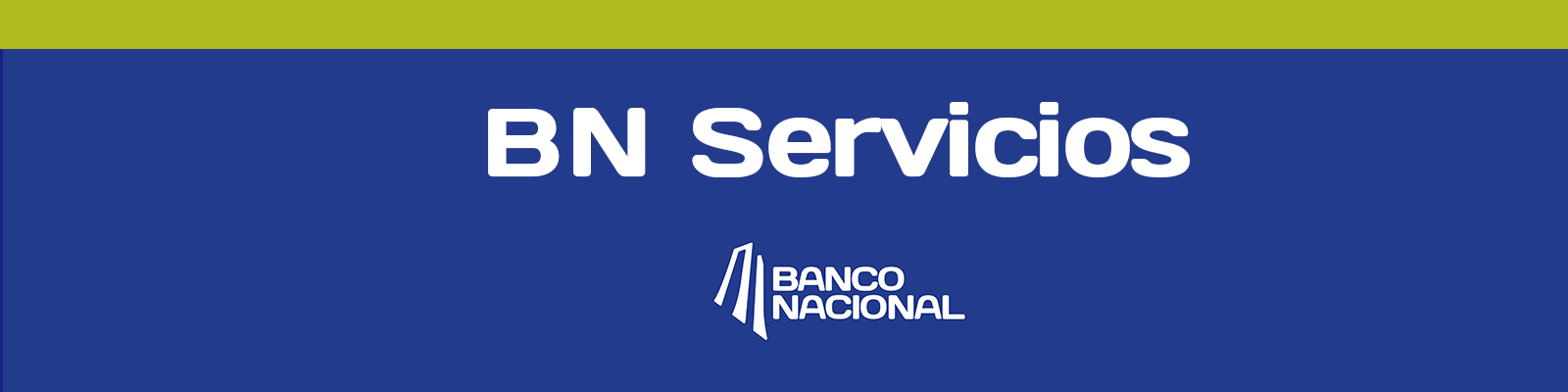 BN Servicios Logo photo - 1