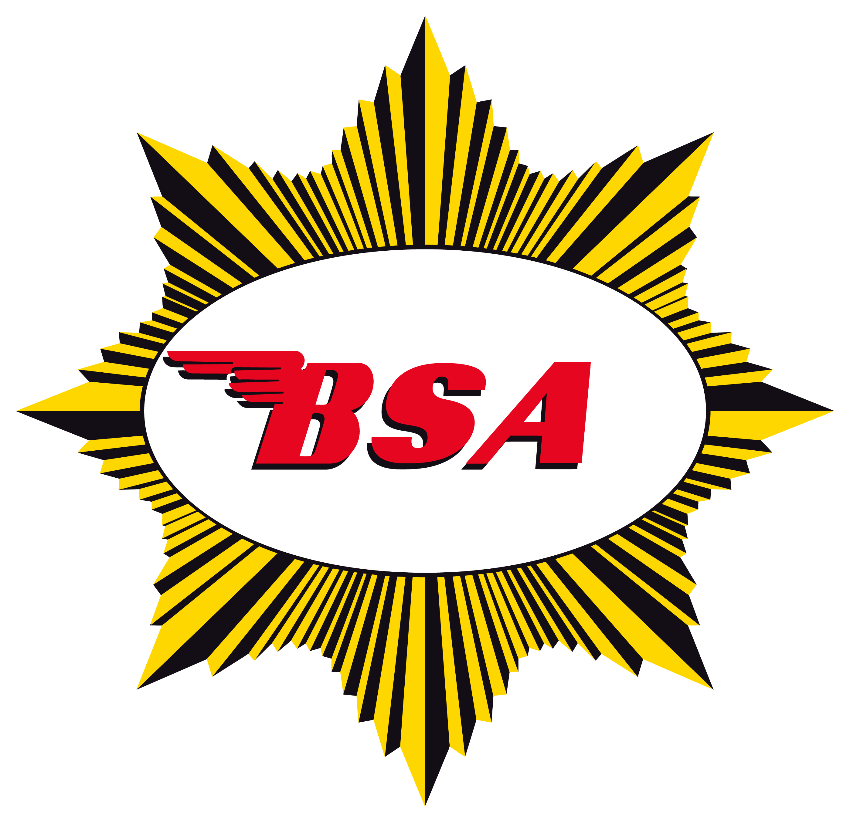 BSA Goldstar Logo photo - 1