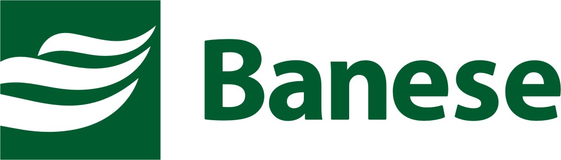 Banese Logo photo - 1