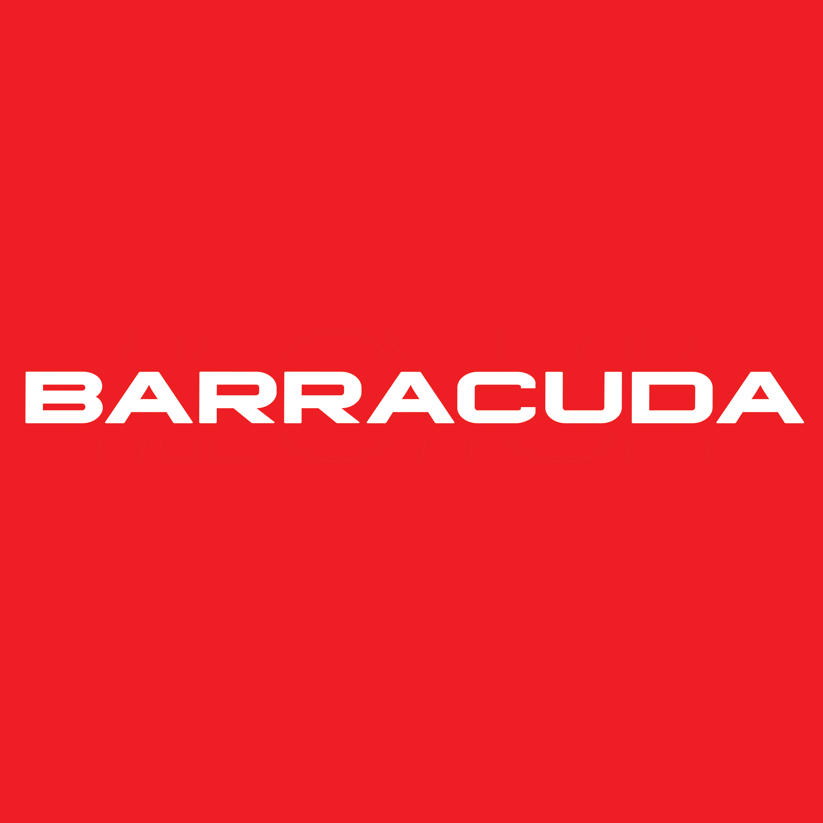 Barracuda Moto Logo Image Download Logo Logowiki Net