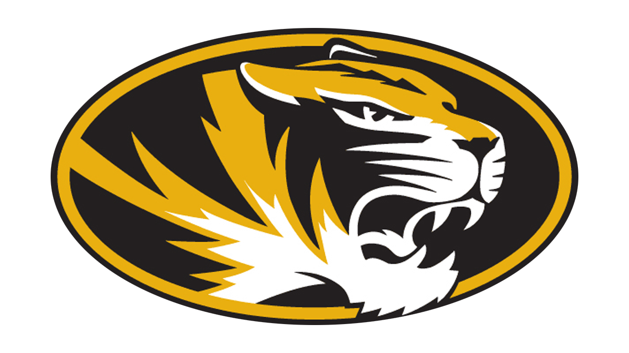 Bouncing Tigers Logo photo - 1