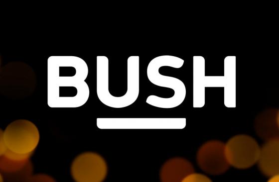 Bush Logo photo - 1