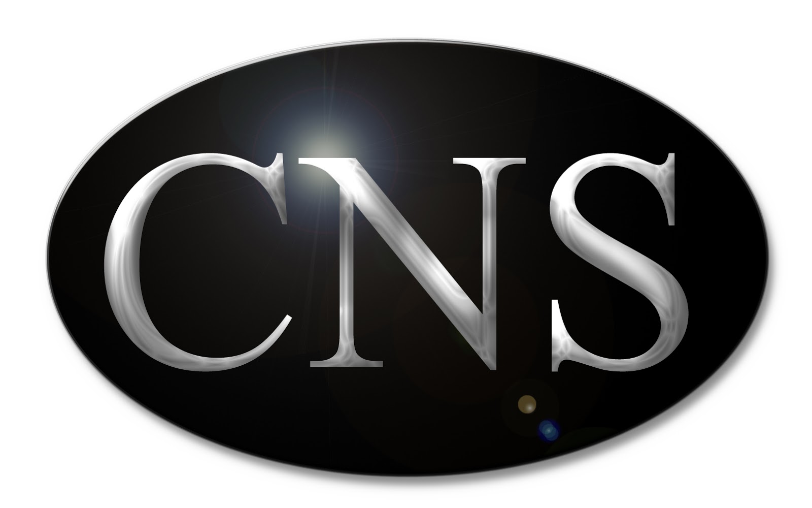 Cns Logo Image Download Logo Logowiki Net