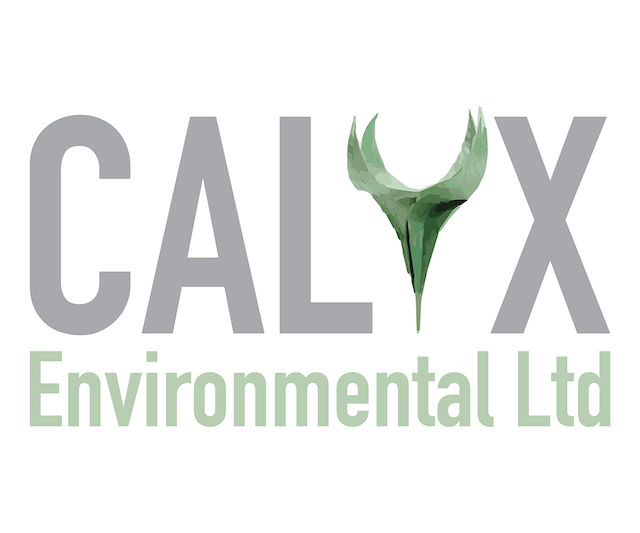 Calyx Graphic Logo photo - 1