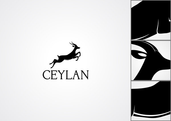 Ceylan Ofset Logo photo - 1