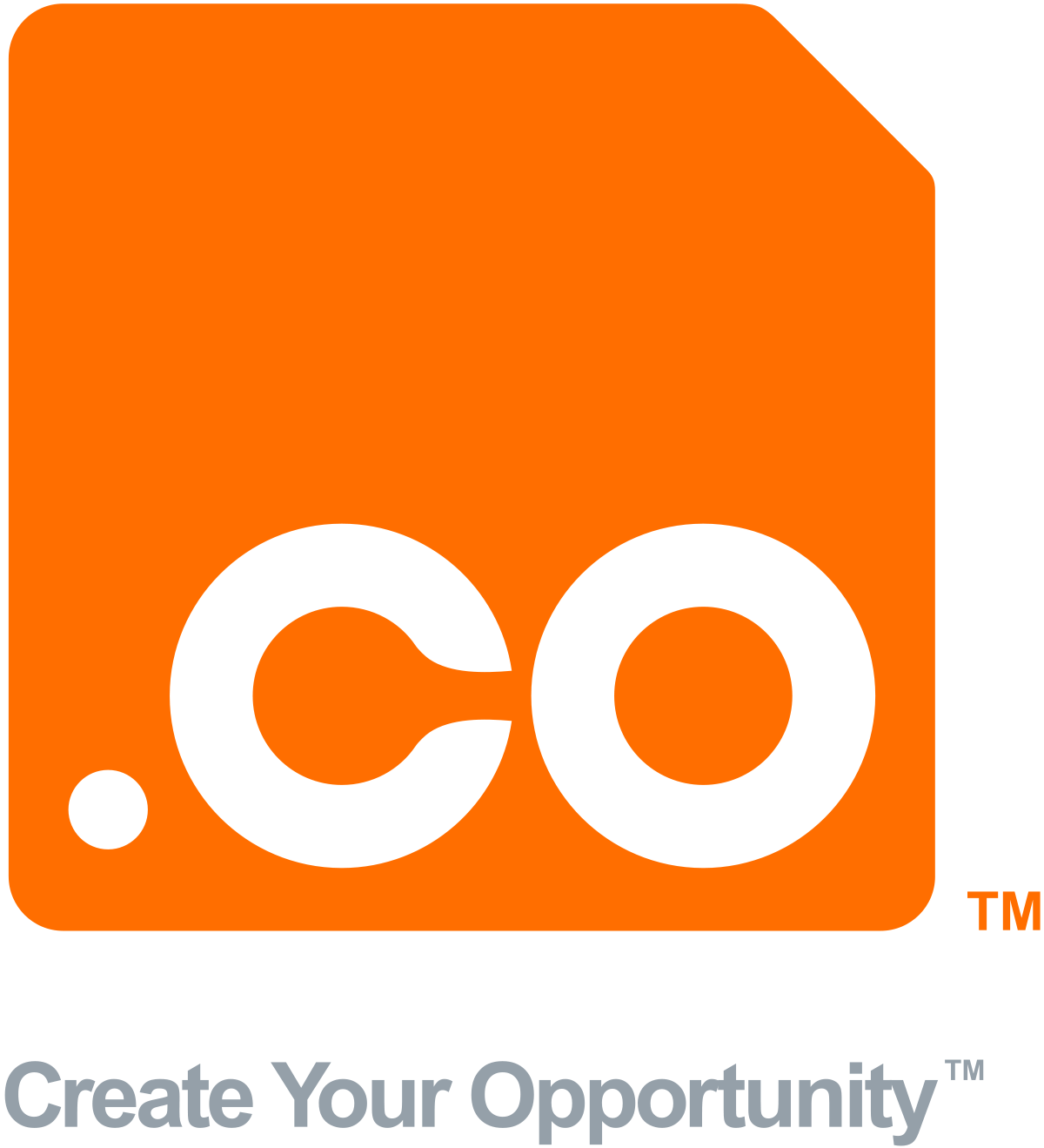 Co Domain Logo photo - 1