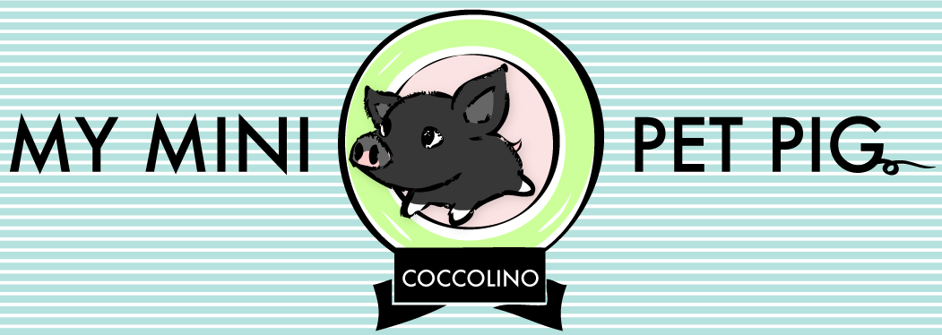 Coccolino Logo photo - 1