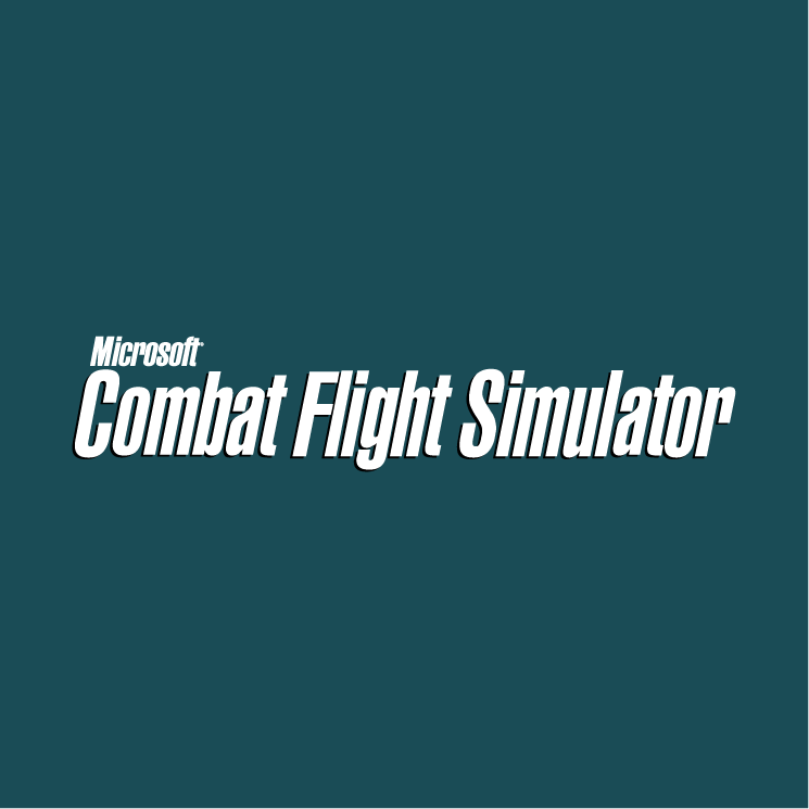 Combat Flight Simulator Logo photo - 1
