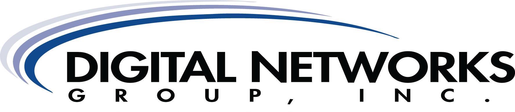 Digital Networking Logo photo - 1