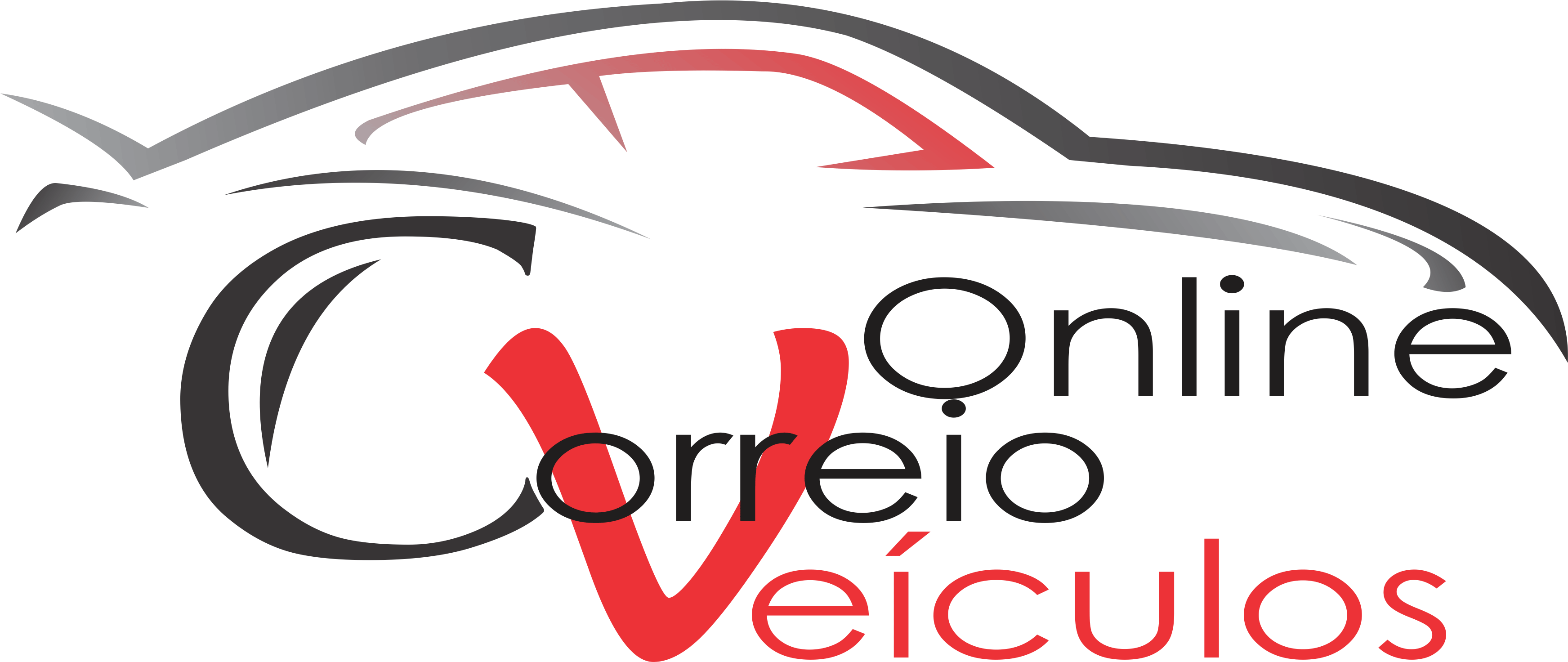 Drecional Veiculos Logo photo - 1