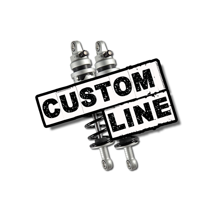 EMC Shocks Logo photo - 1