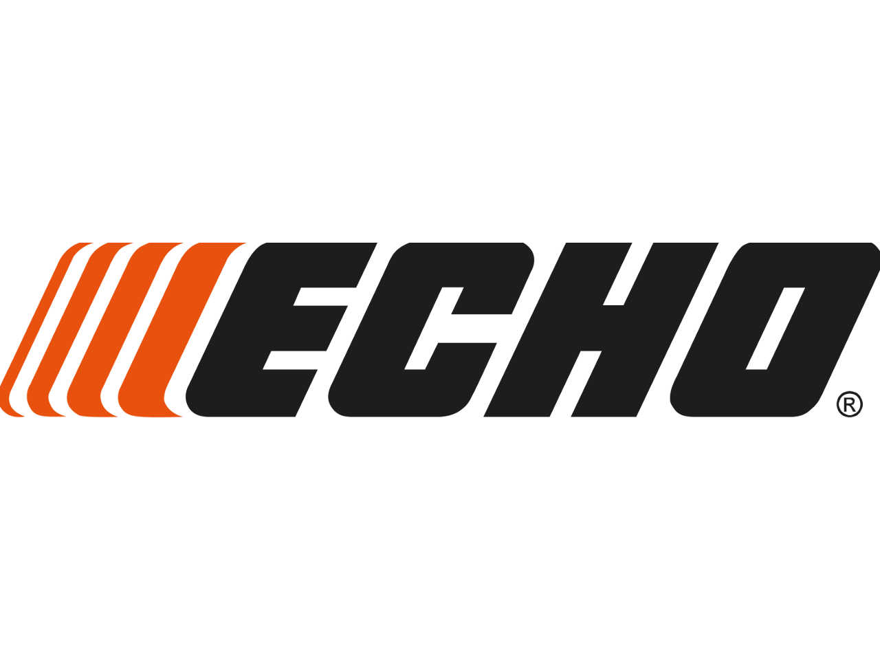 Echo Logo photo - 1