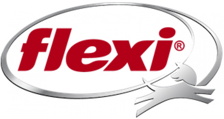 Flexi Logo photo - 1