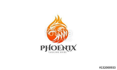 Fondation PHOENIX 3000 Logo photo - 1