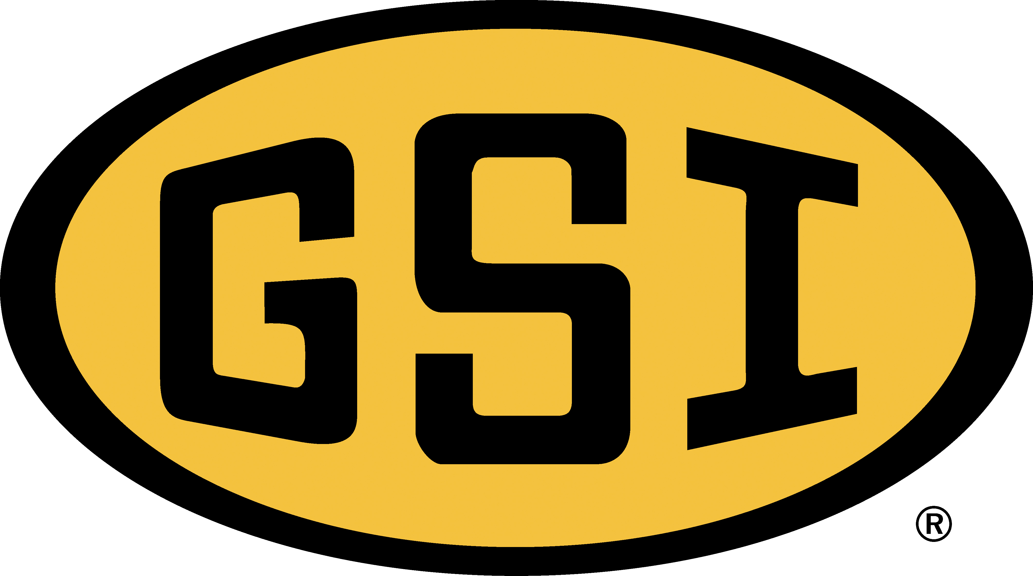 GSI Logo photo - 1