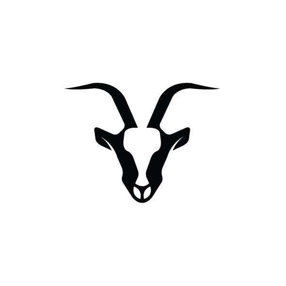 GolSat Logo photo - 1