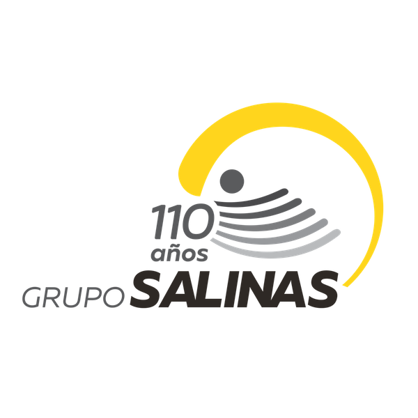Grupo Salinas Logo photo - 1