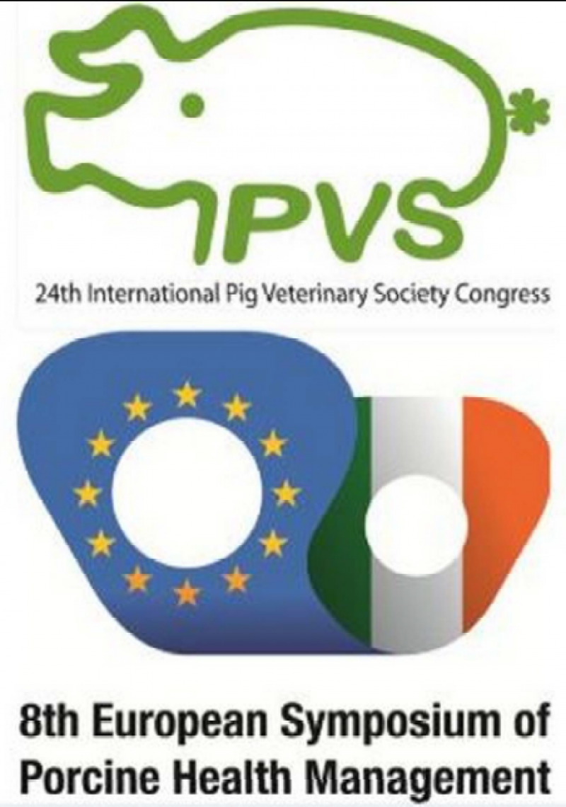 IPVS 2014 Logo photo - 1