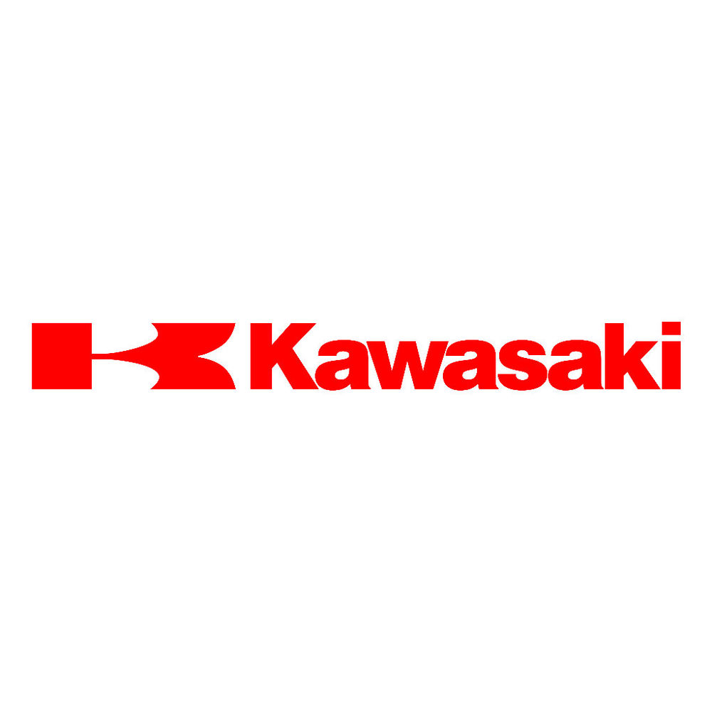 Kawasaki ZX6RR Decal Logo photo - 1