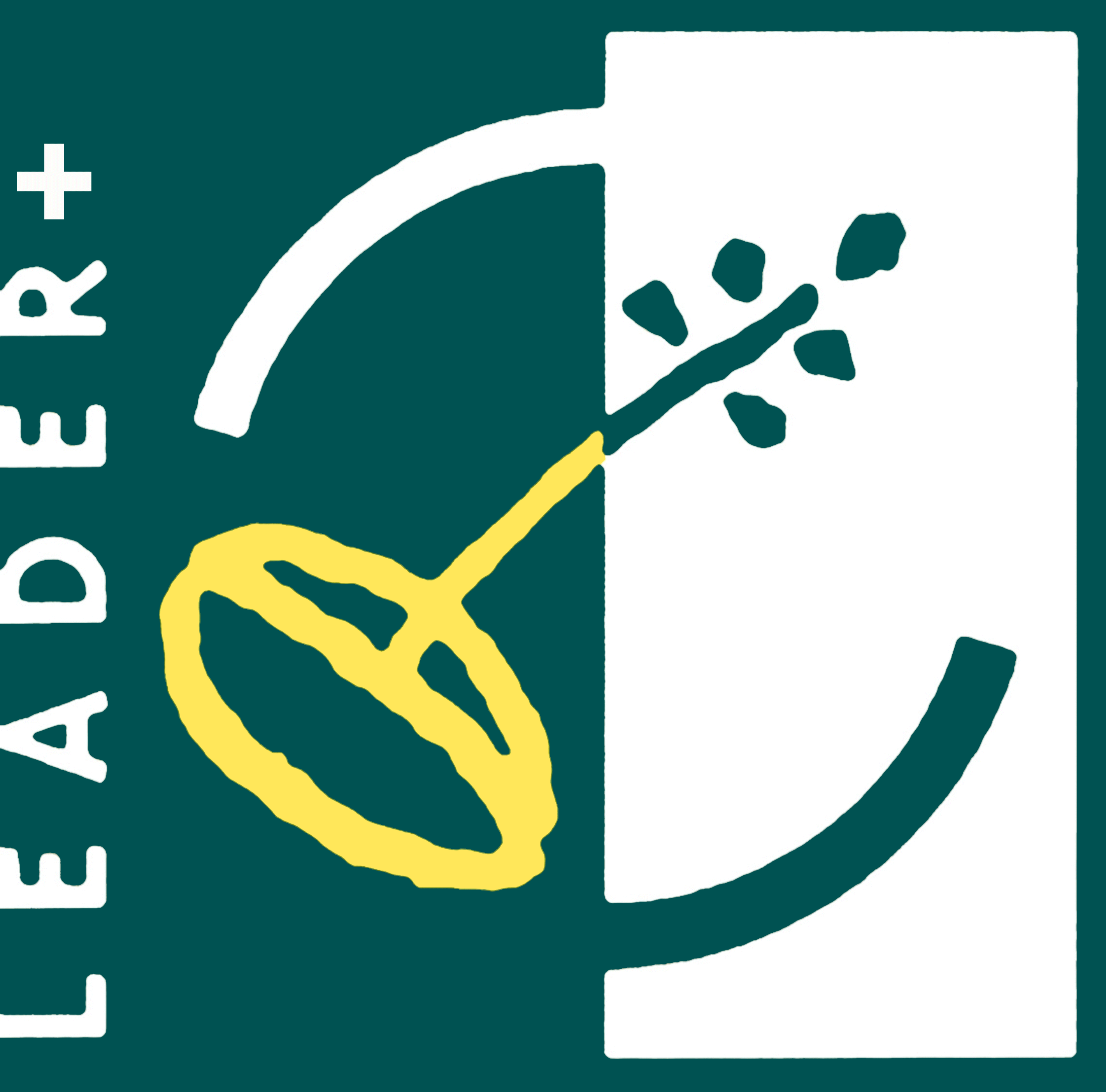 Leader Plus Logo photo - 1