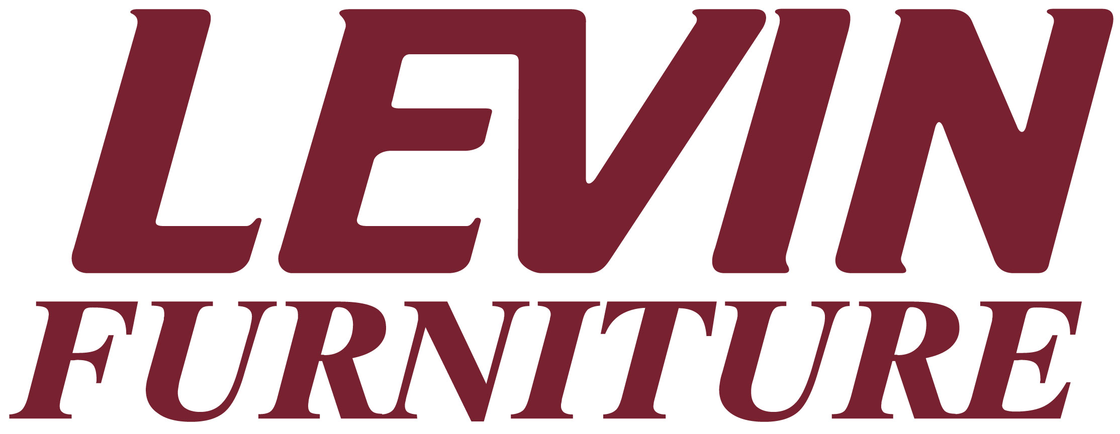 Levin Logo photo - 1