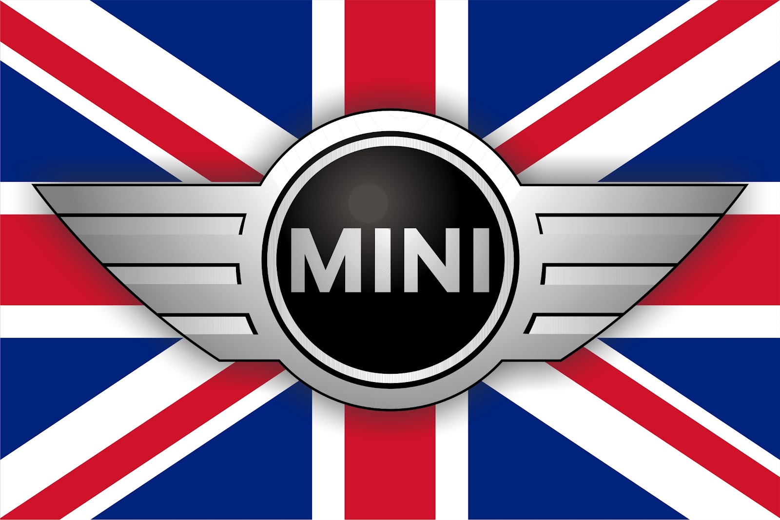 MiniBlue Logo photo - 1