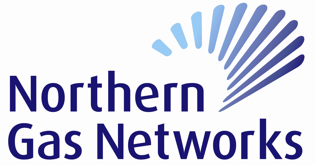 NGN Logo photo - 1