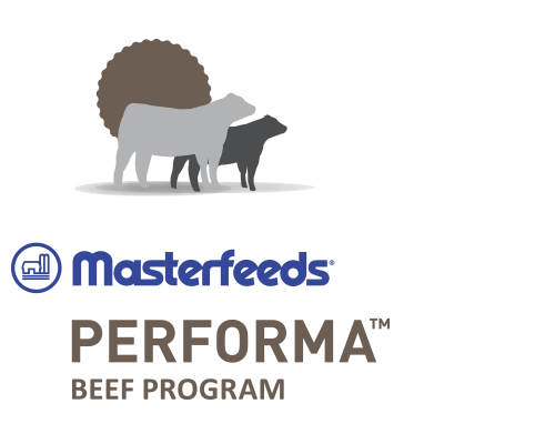 NMLC - National Meat & Lifestock Corporation Logo photo - 1