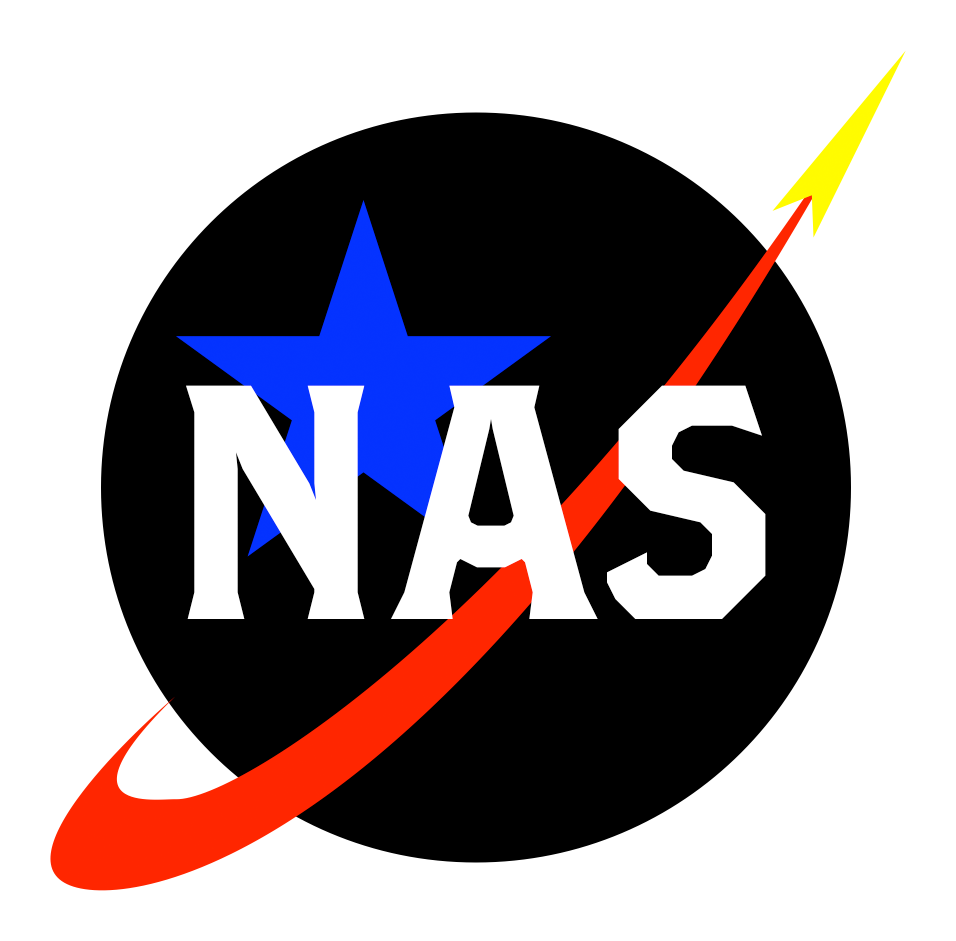 Nas Logo photo - 1