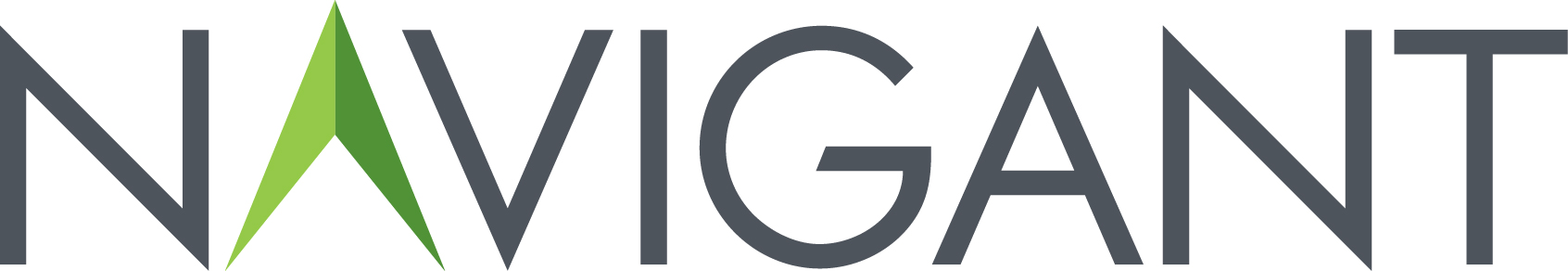 Navigant Consulting Logo photo - 1