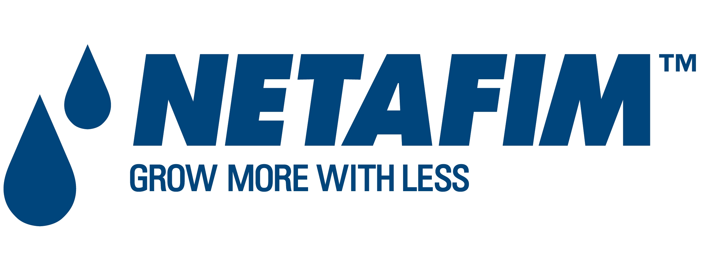 Netafim Logo photo - 1