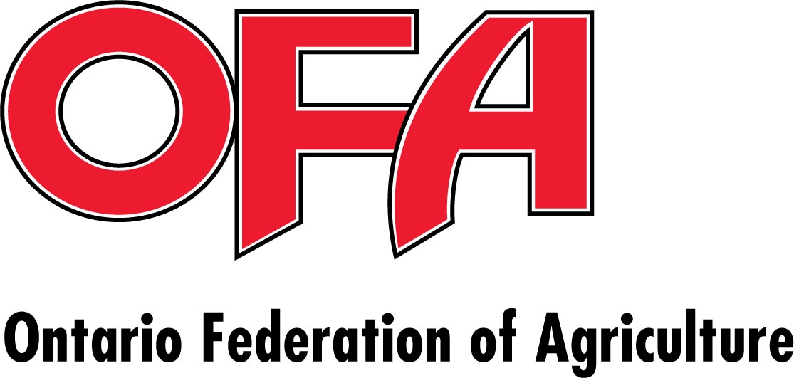 OFA Logo photo - 1