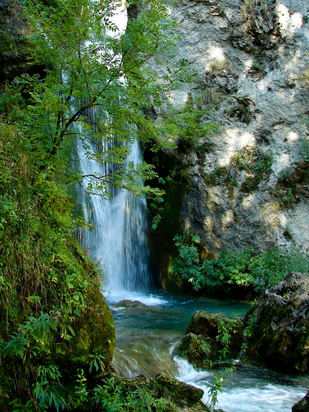 Parque natural de Urbasa y Andia Logo photo - 1