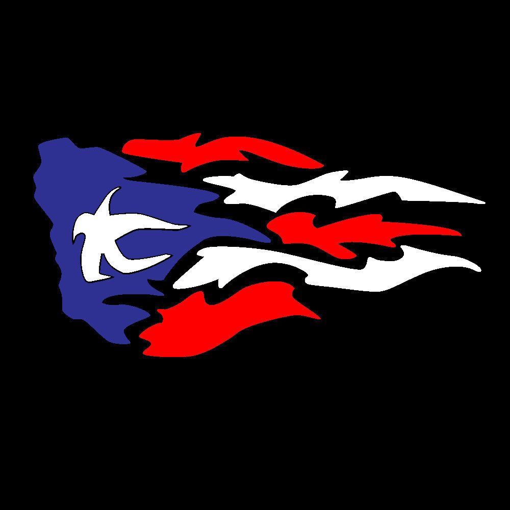 Puerto Rico Flag for Truck and car Logo photo - 1