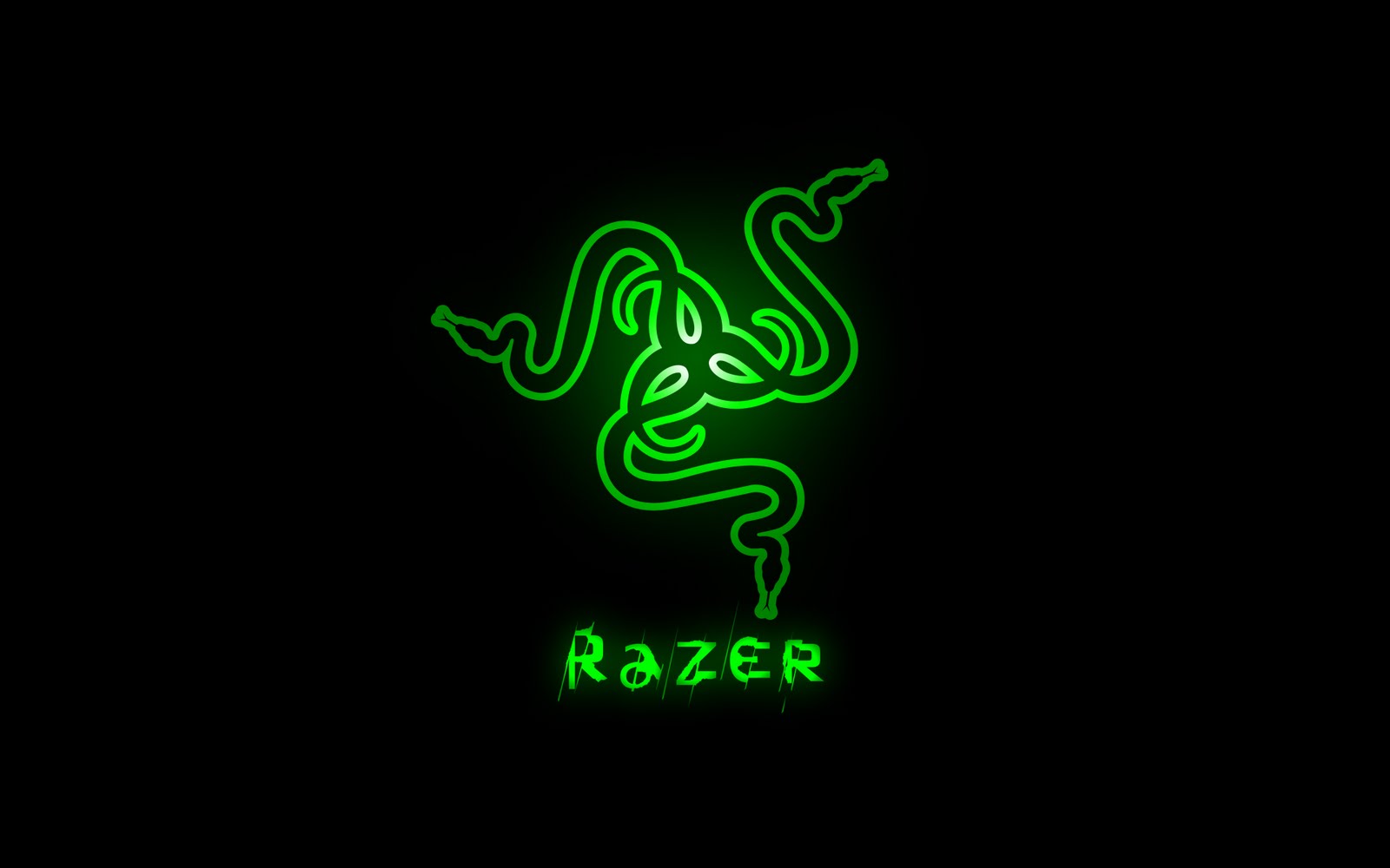 Razer Logo photo - 1