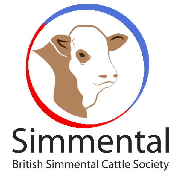 Simmental Zeitung Logo photo - 1