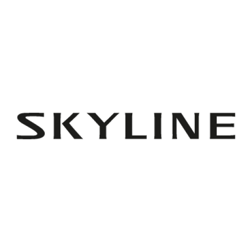 Skyline Logo photo - 1