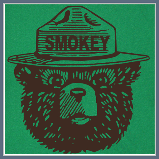 Smokey the Bear Logo, image, download logo | LogoWiki.net