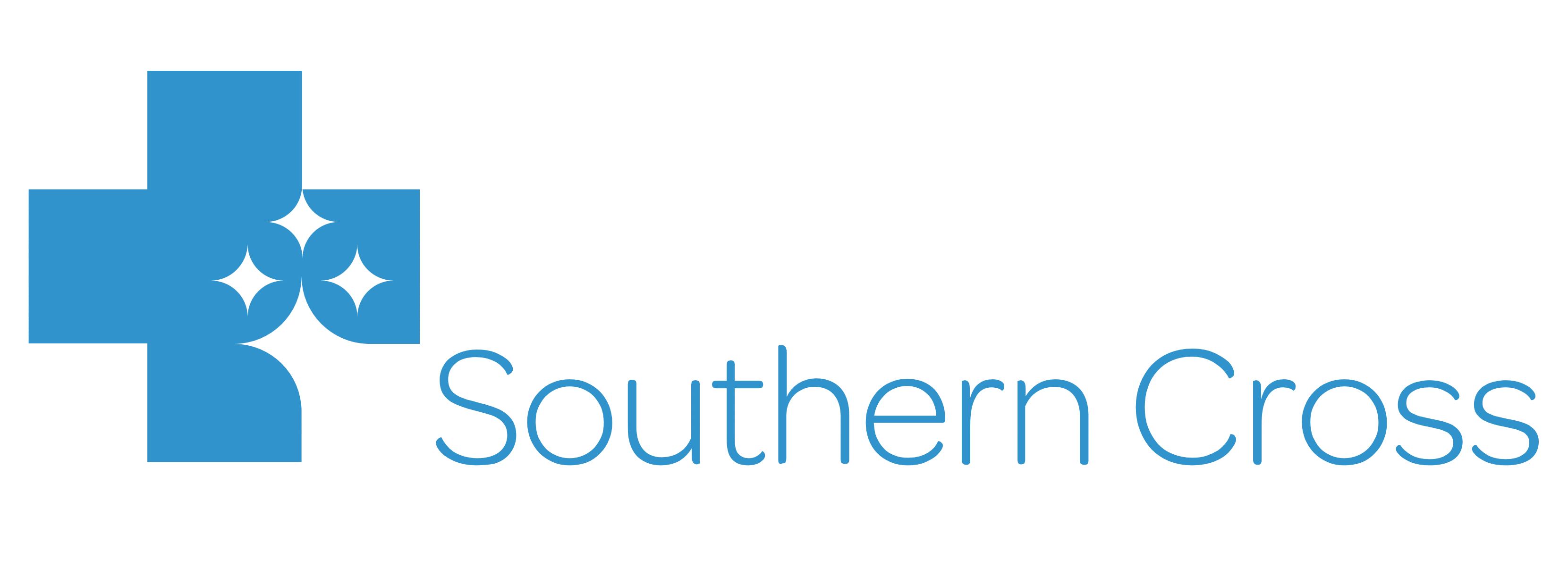 Southern Cross Logo photo - 1