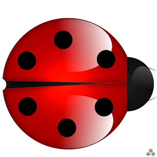 Splitter bug Logo photo - 1