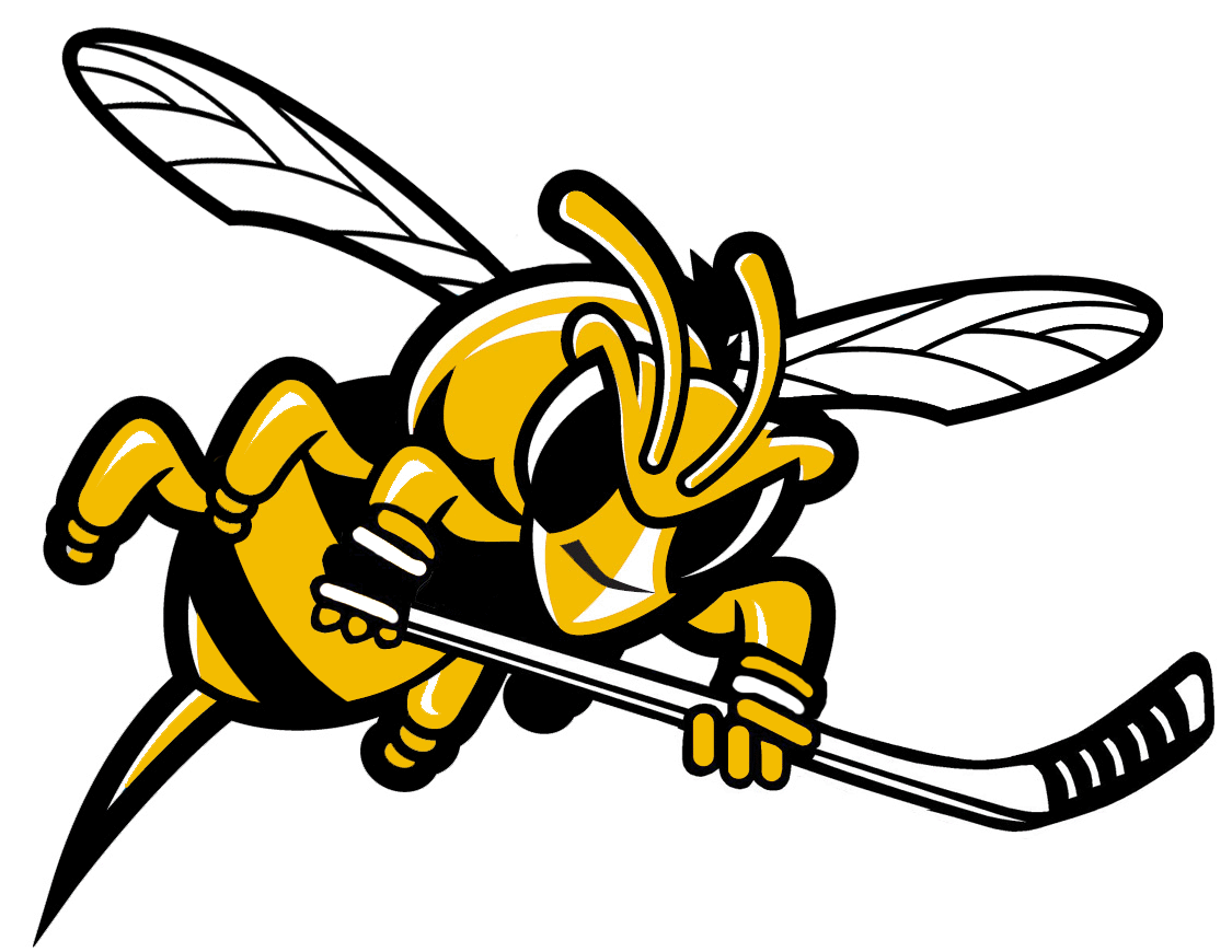 Stinger Logo photo - 1